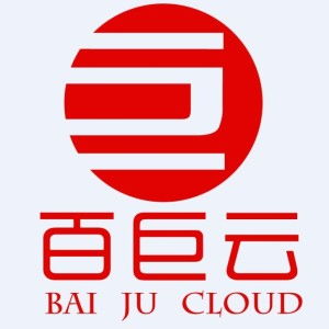 广西百巨云电子商务股份