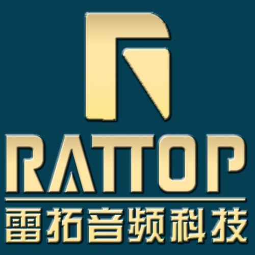 雷拓音频科技