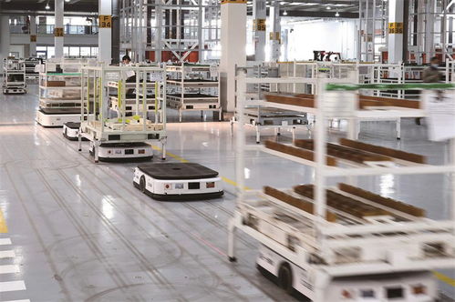 率先突破,如何以科技创新推动产业创新