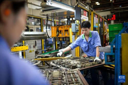 广东佛山 因地制宜 向 新 而行