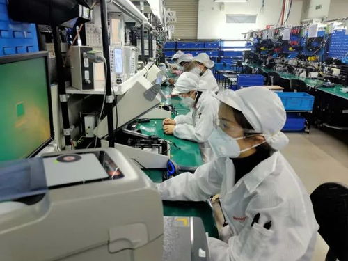 全面复工拉动劳动力市场回暖，2月调查失业率降至6.2%