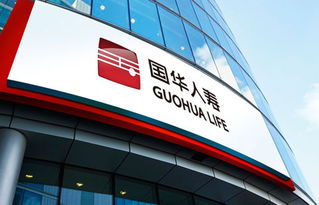 消费结构变革,如何通过品牌战略调整实现企业新一轮增长